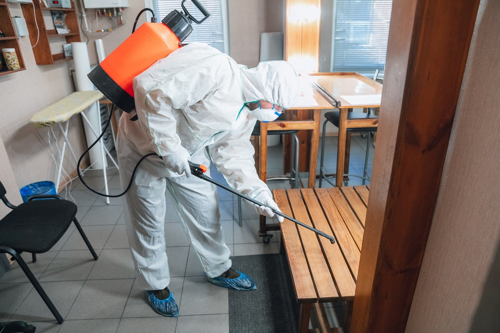 Factors That Affect the Cost of Termite Inspections and Treatments